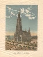 Münster. Südwestseite. Um 1890. Ansicht 558