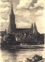 Donaufront mit Münster. Um 1900. Ansicht 224