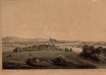 Ulm von Südwesten. Um 1860. Ansicht 206
