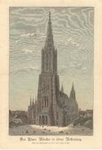 Münster. Südwestseite. 1890. Ansicht 507/1